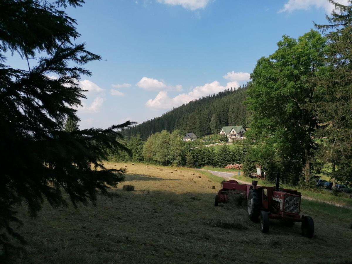 Gosciniec Janowa Gora - Agroturystyka Stronie Slaskie Exterior photo
